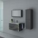 Ensemble de meubles sanitaires avec armoire de toilette DIS025-900GT